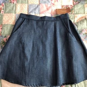 Denim Skirt from Francesca’s